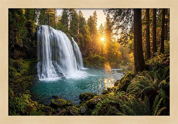 Natural Falls Serenity