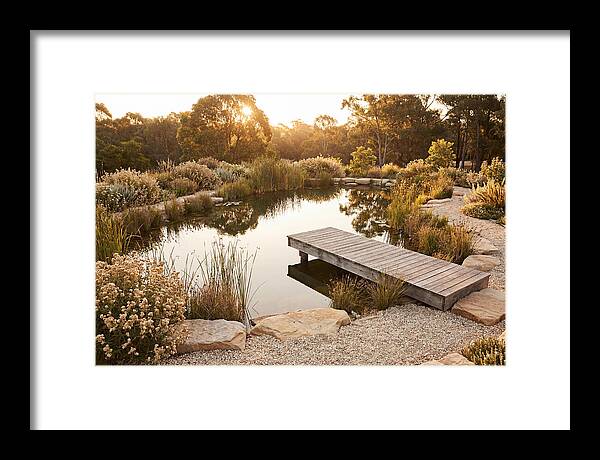 Natural Serenity By The Pond