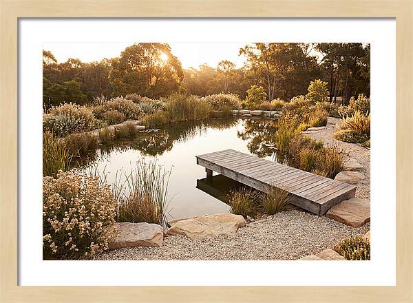 Natural Serenity By The Pond