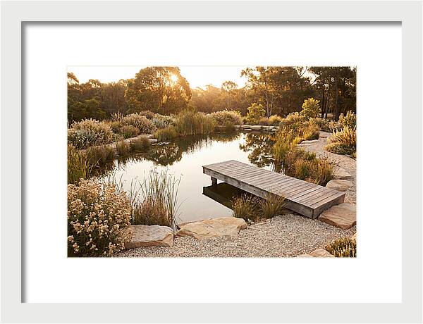Natural Serenity By The Pond