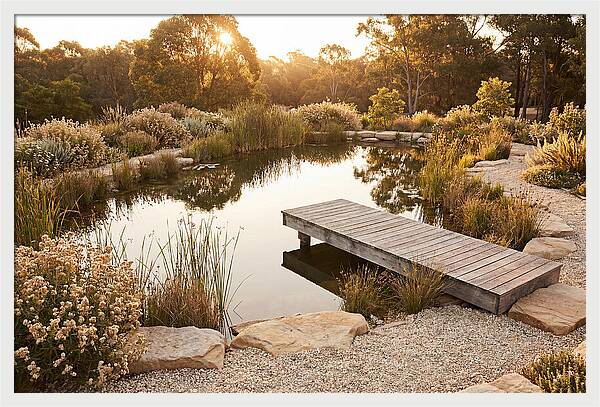 Natural Serenity By The Pond