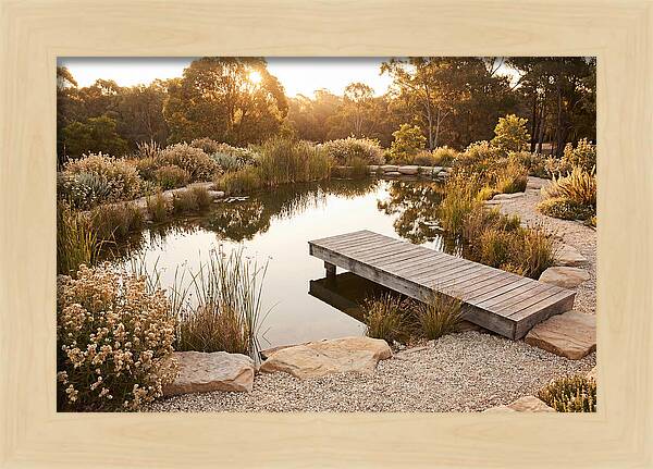 Natural Serenity By The Pond