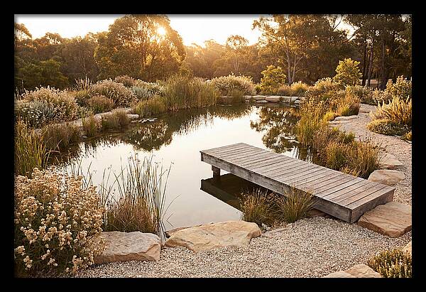 Natural Serenity By The Pond
