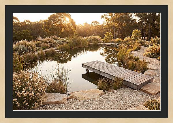 Natural Serenity By The Pond