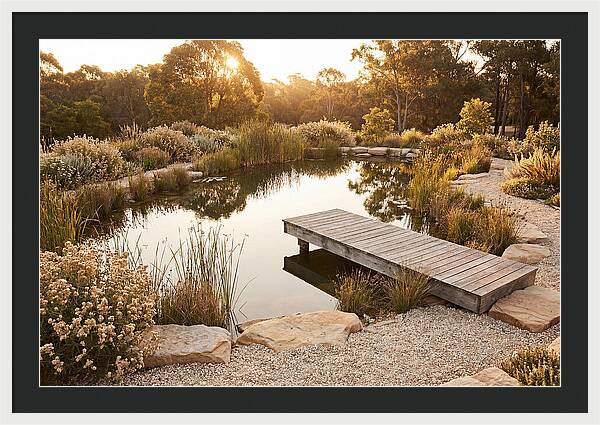 Natural Serenity By The Pond