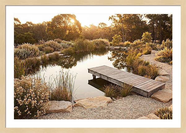 Natural Serenity By The Pond