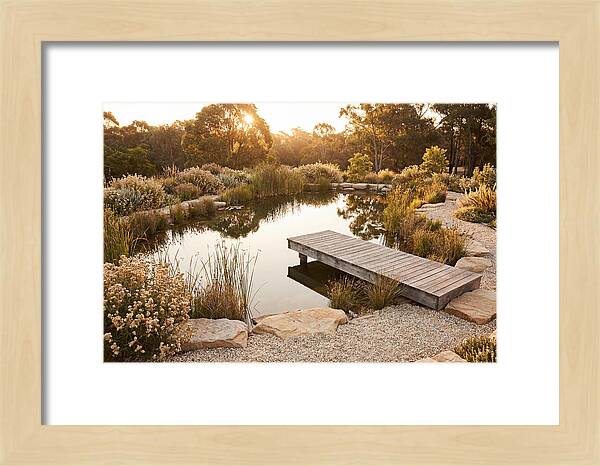 Natural Serenity By The Pond