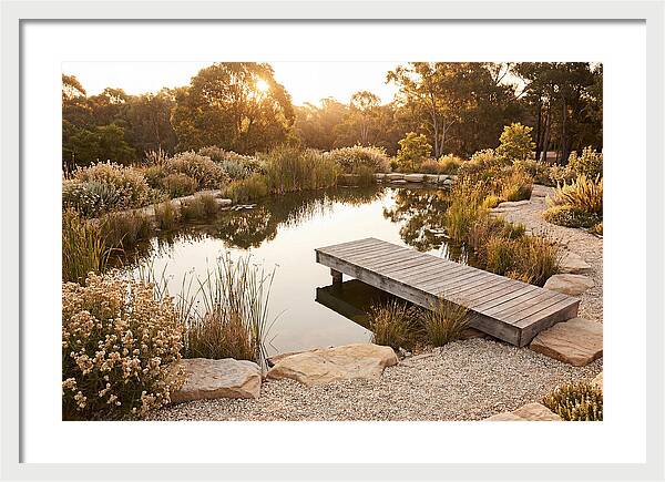 Natural Serenity By The Pond