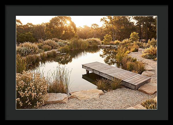 Natural Serenity By The Pond