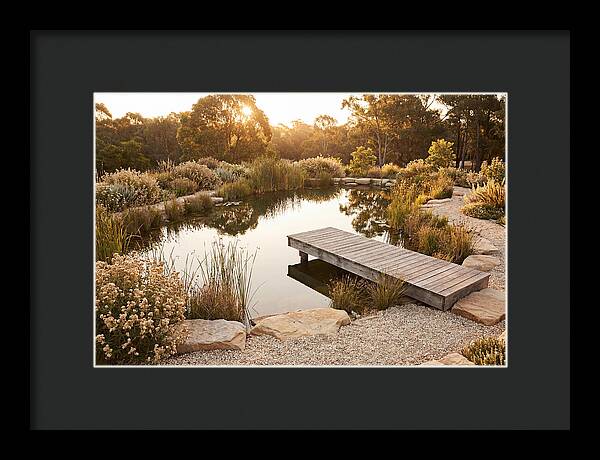 Natural Serenity By The Pond