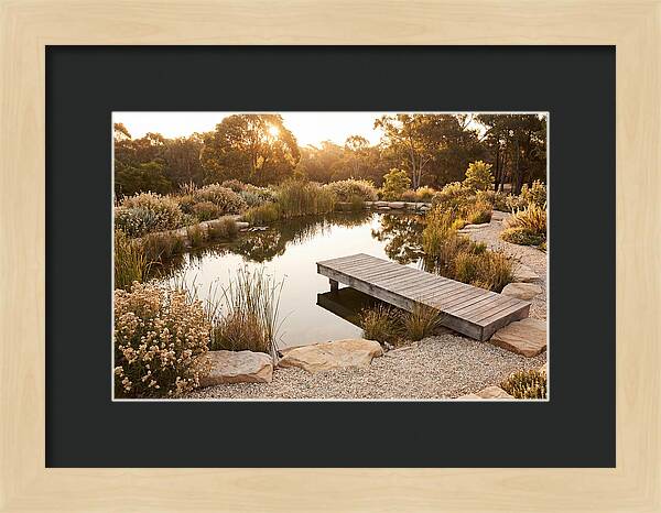 Natural Serenity By The Pond
