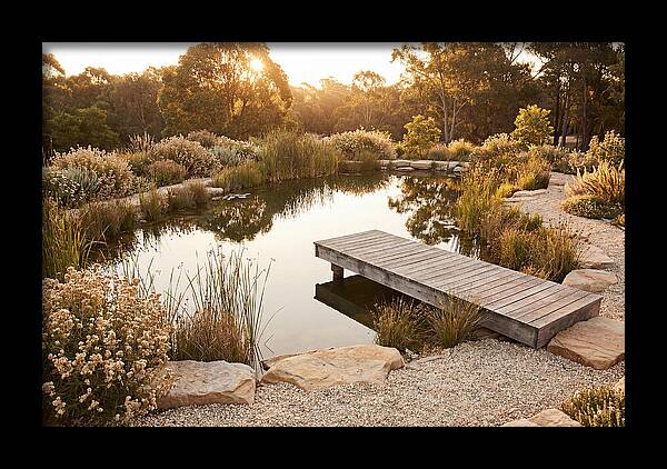 Natural Serenity By The Pond