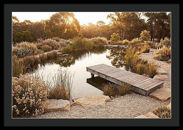 Natural Serenity By The Pond