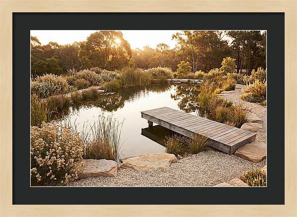 Natural Serenity By The Pond