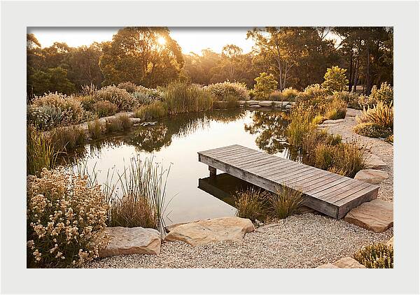 Natural Serenity By The Pond