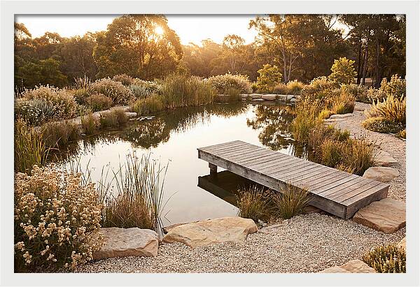 Natural Serenity By The Pond