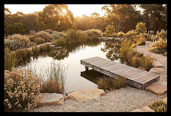Natural Serenity By The Pond