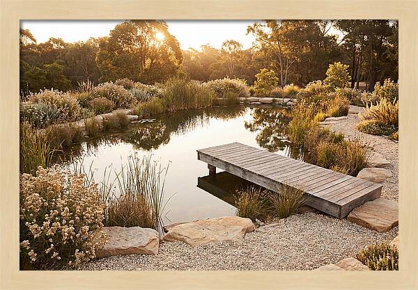 Natural Serenity By The Pond