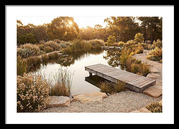 Natural Serenity By The Pond