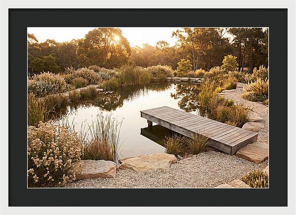 Natural Serenity By The Pond