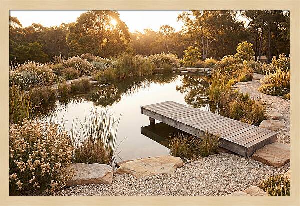 Natural Serenity By The Pond