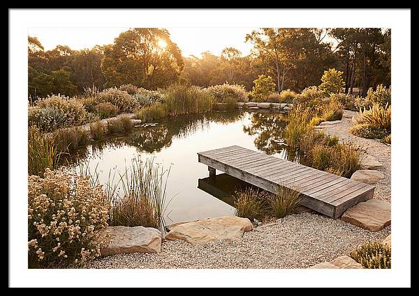 Natural Serenity By The Pond