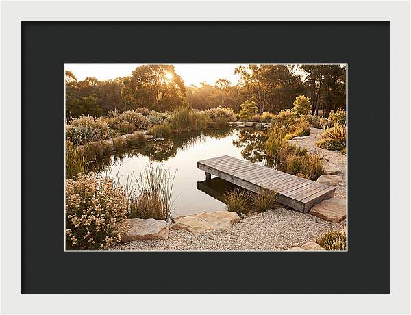 Natural Serenity By The Pond