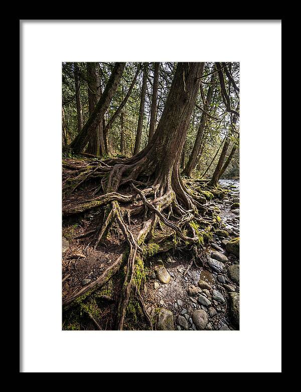 Natures Embrace Of Earth
