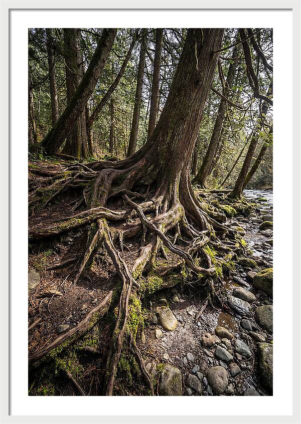Natures Embrace Of Earth