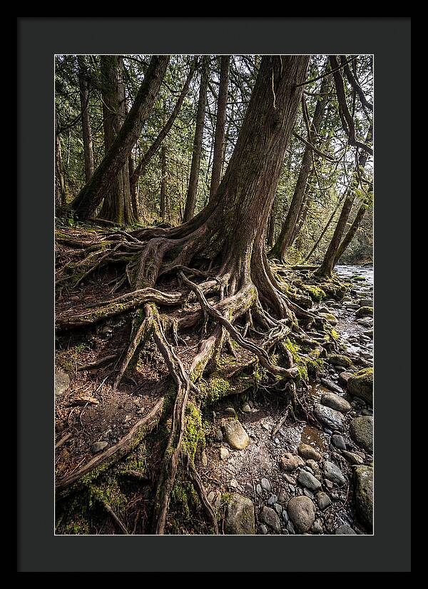Natures Embrace Of Earth
