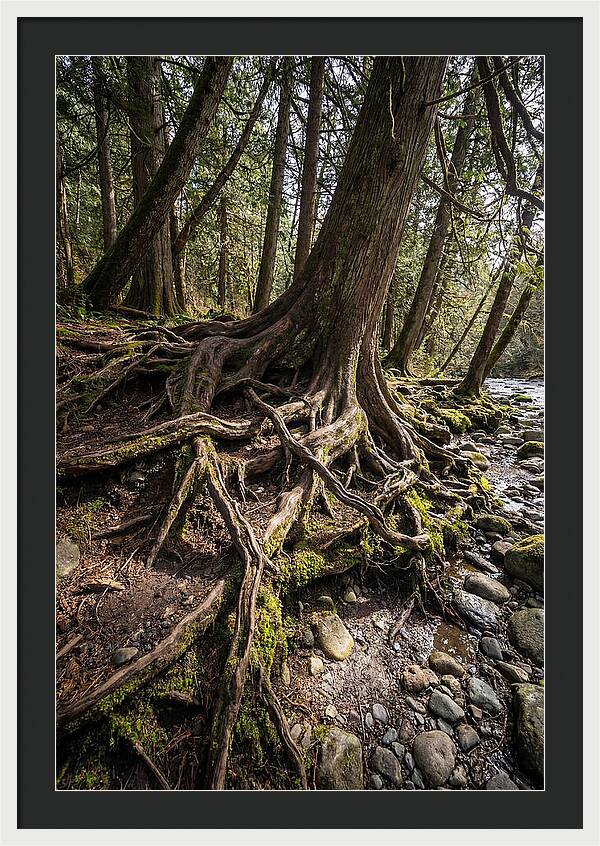 Natures Embrace Of Earth