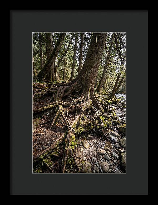 Natures Embrace Of Earth