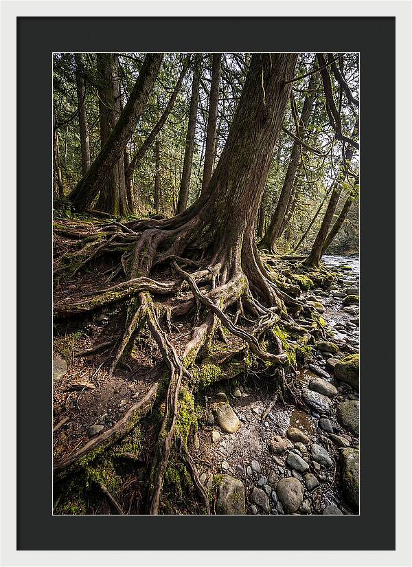Natures Embrace Of Earth