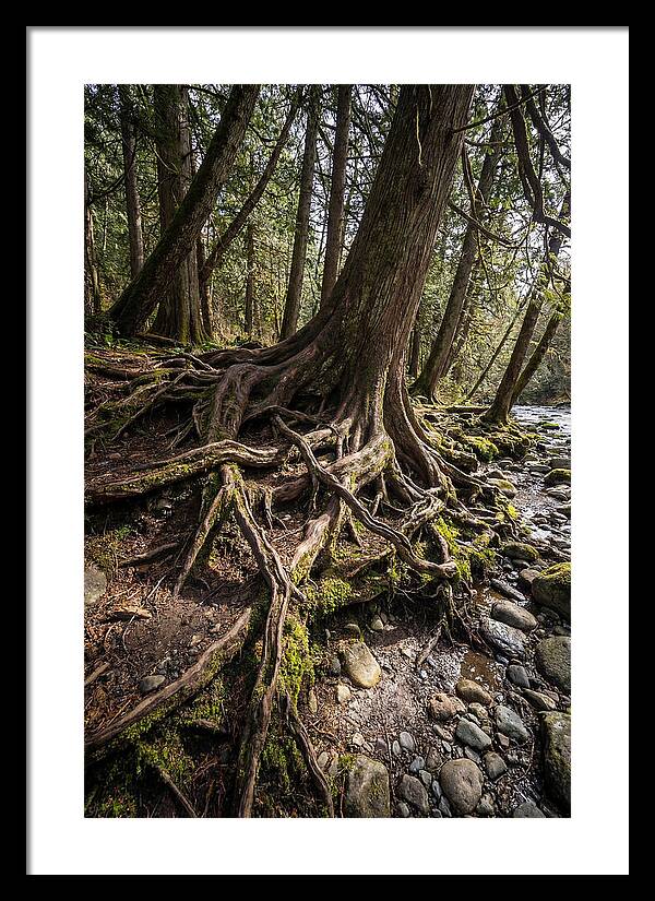 Natures Embrace Of Earth