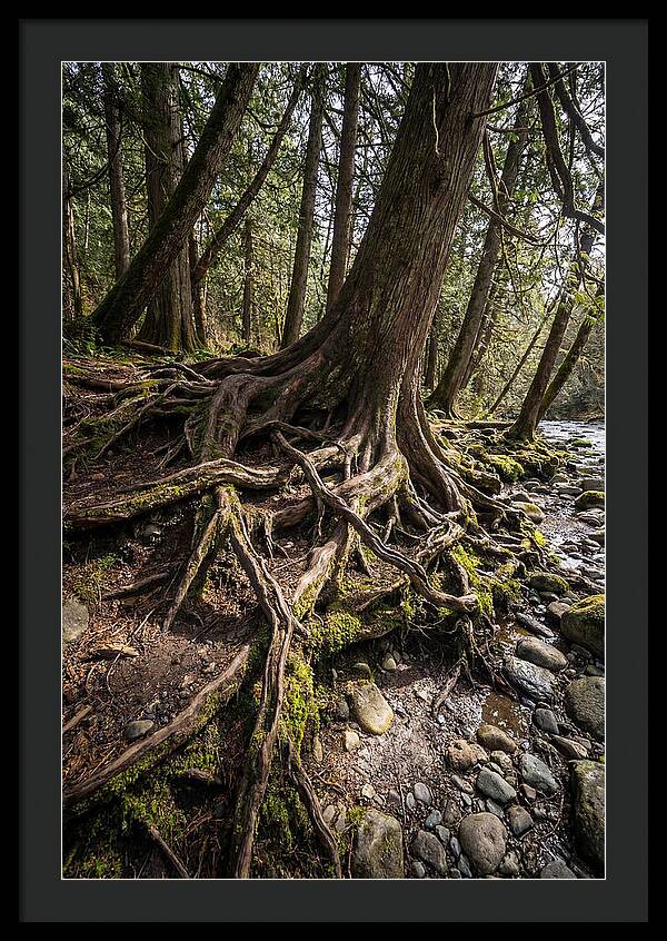 Natures Embrace Of Earth