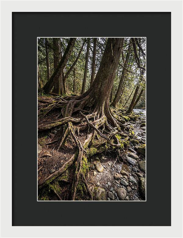 Natures Embrace Of Earth