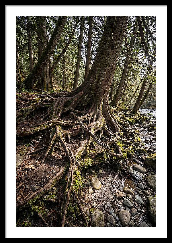 Natures Embrace Of Earth