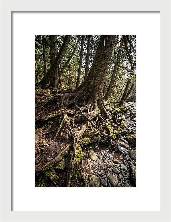 Natures Embrace Of Earth
