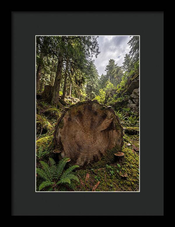 Natures Inner Patterns