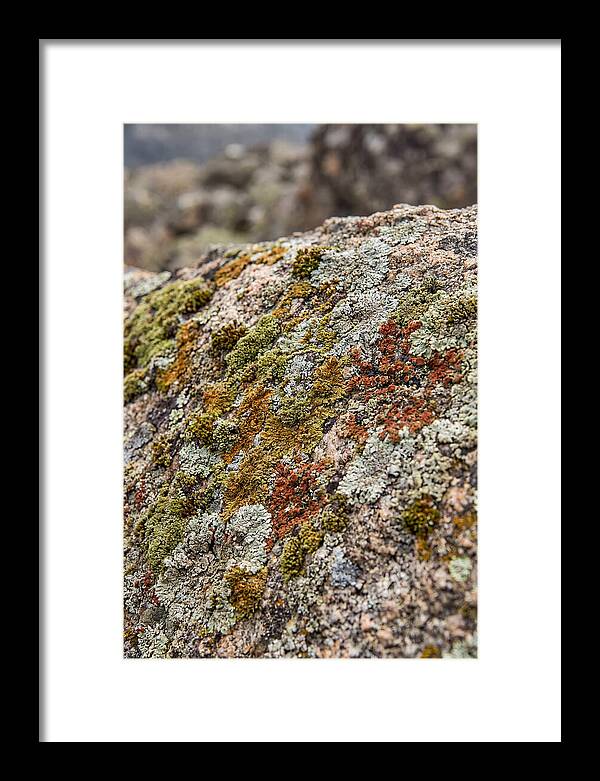 Natures Textured Canvas