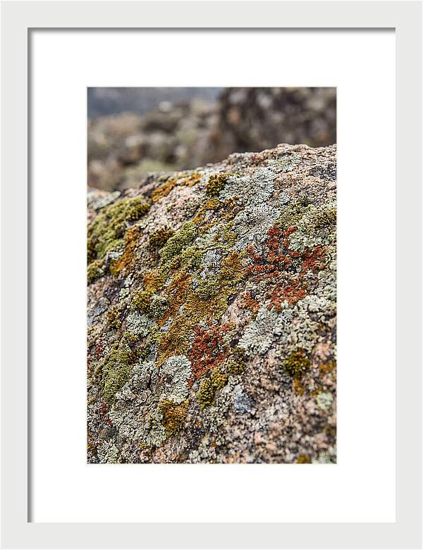 Natures Textured Canvas