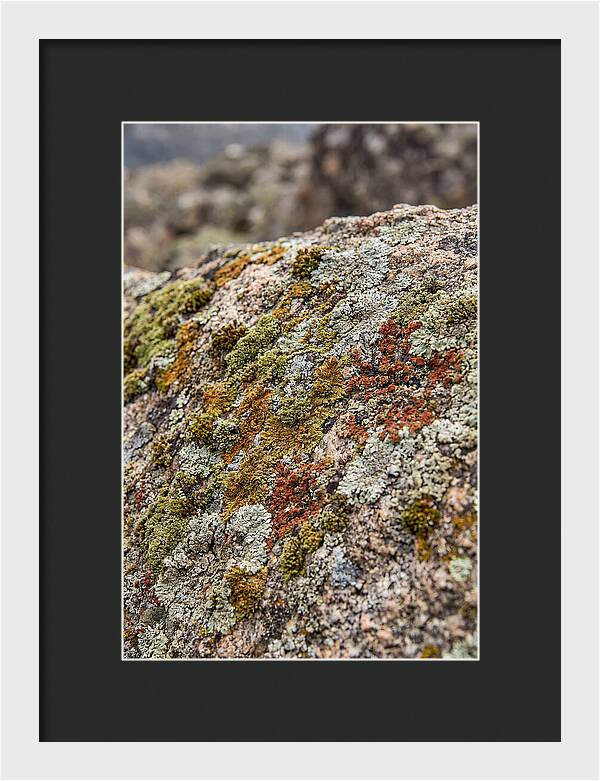 Natures Textured Canvas