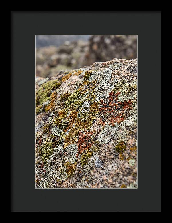 Natures Textured Canvas
