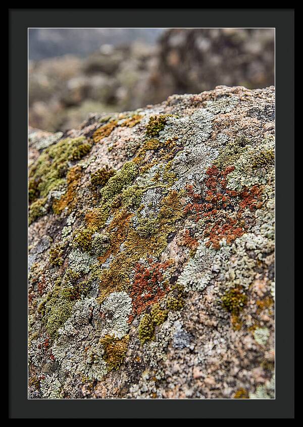 Natures Textured Canvas