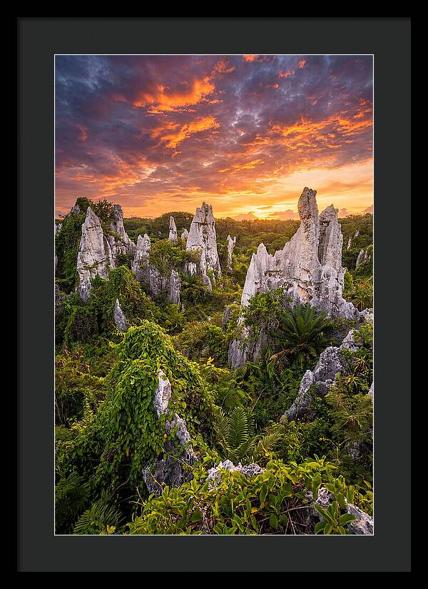 Nauru Pinnacle Rocks At Sunset