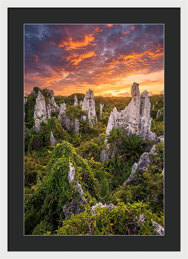 Nauru Pinnacle Rocks At Sunset