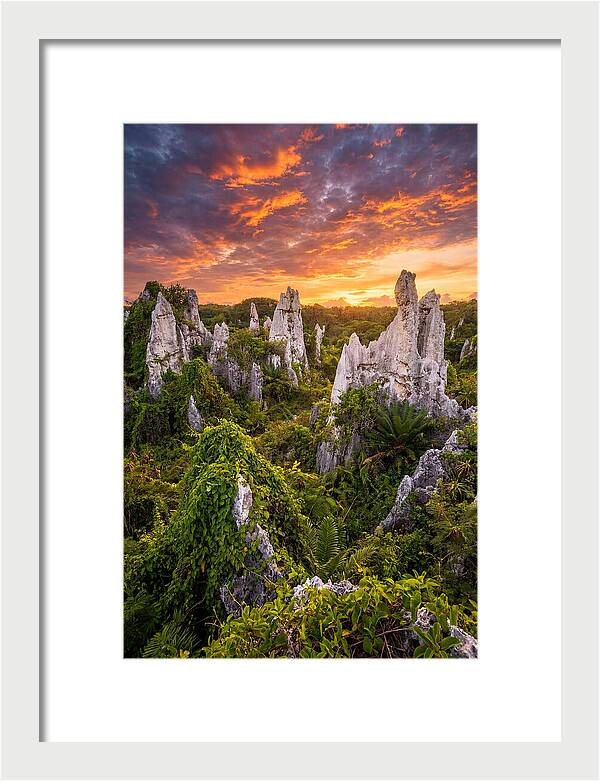 Nauru Pinnacle Rocks At Sunset