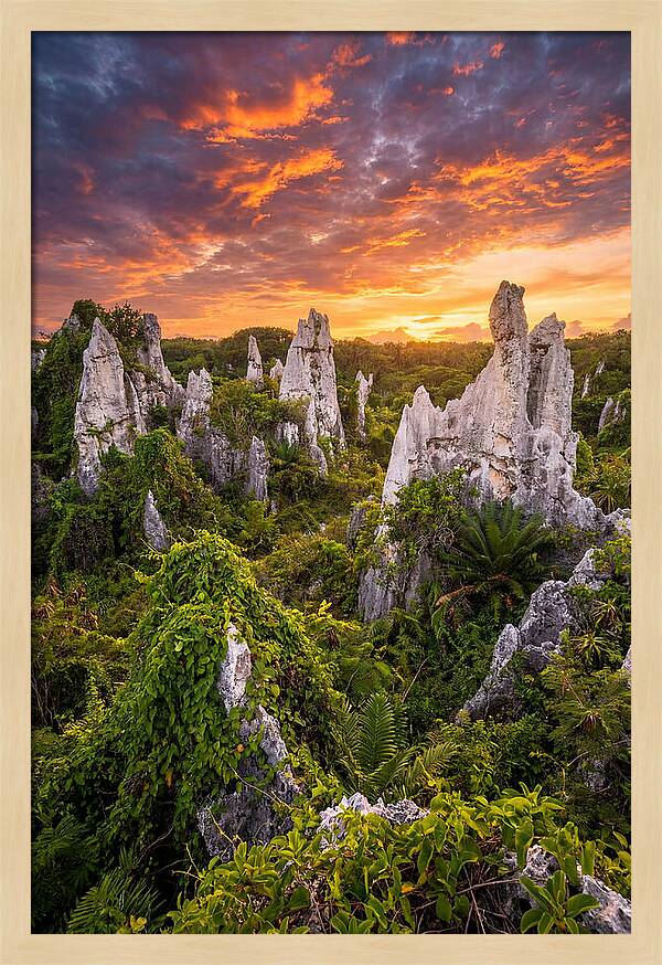 Nauru Pinnacle Rocks At Sunset