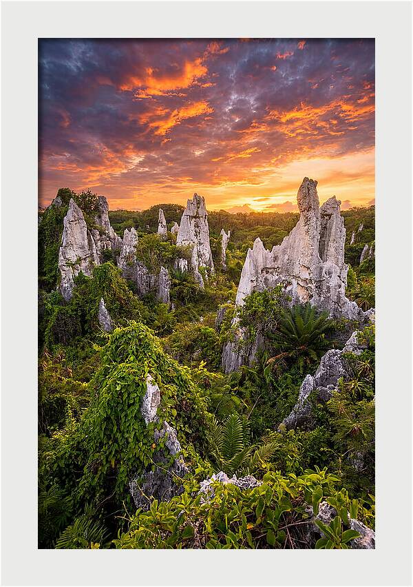 Nauru Pinnacle Rocks At Sunset