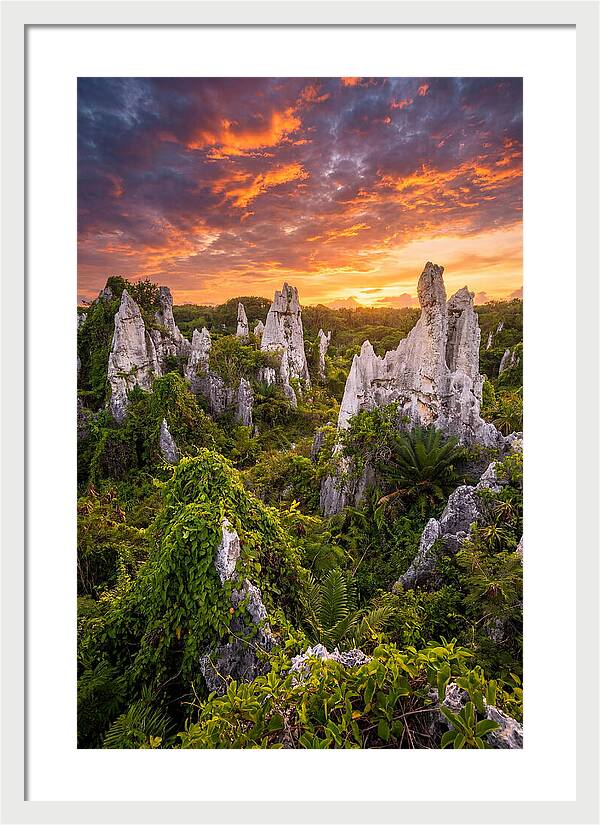 Nauru Pinnacle Rocks At Sunset
